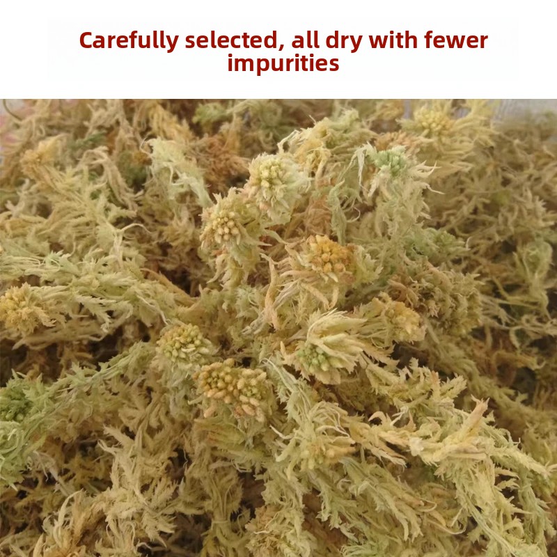 Lumut Sphagnum Kering Kelas A, - Preserved Moss Sheet ulasan dan harga