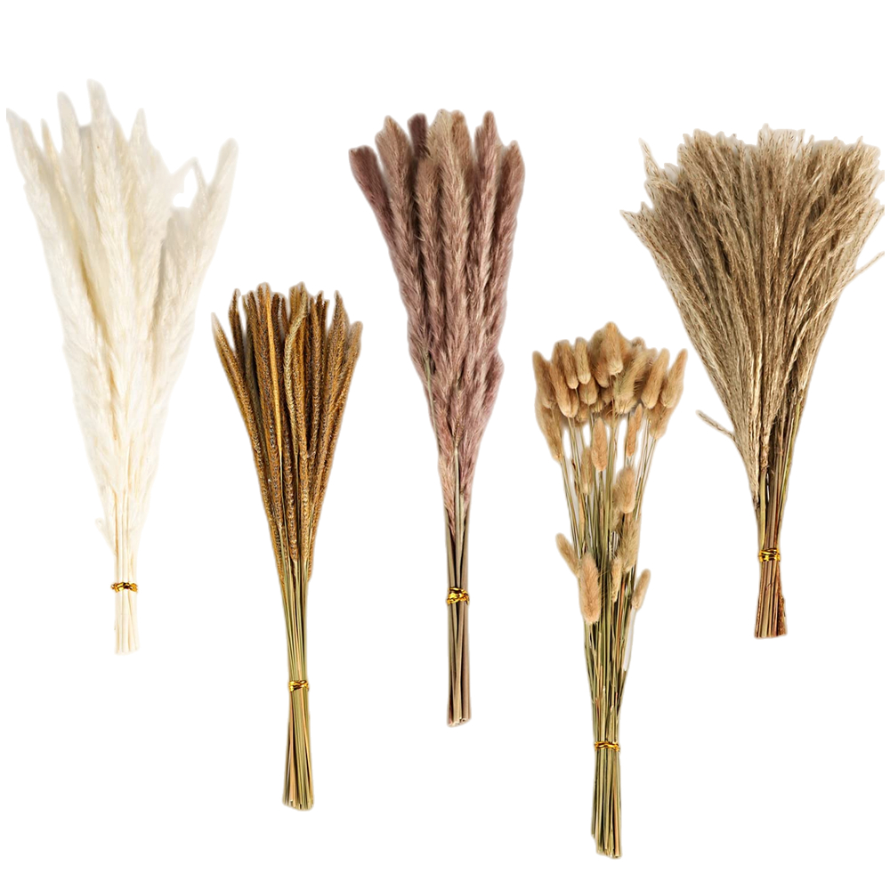 Buket Bunga Kering Campuran Vi - Florist Supply Vases ulasan dan harga